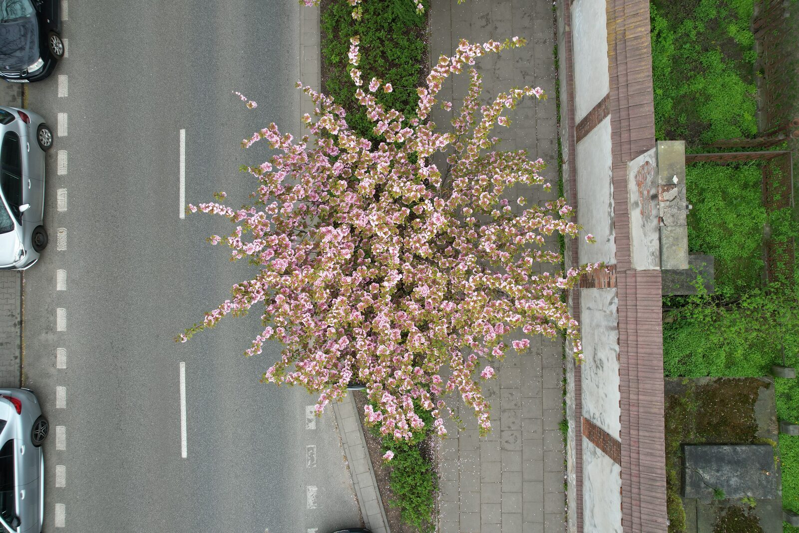 Aerial drone photo