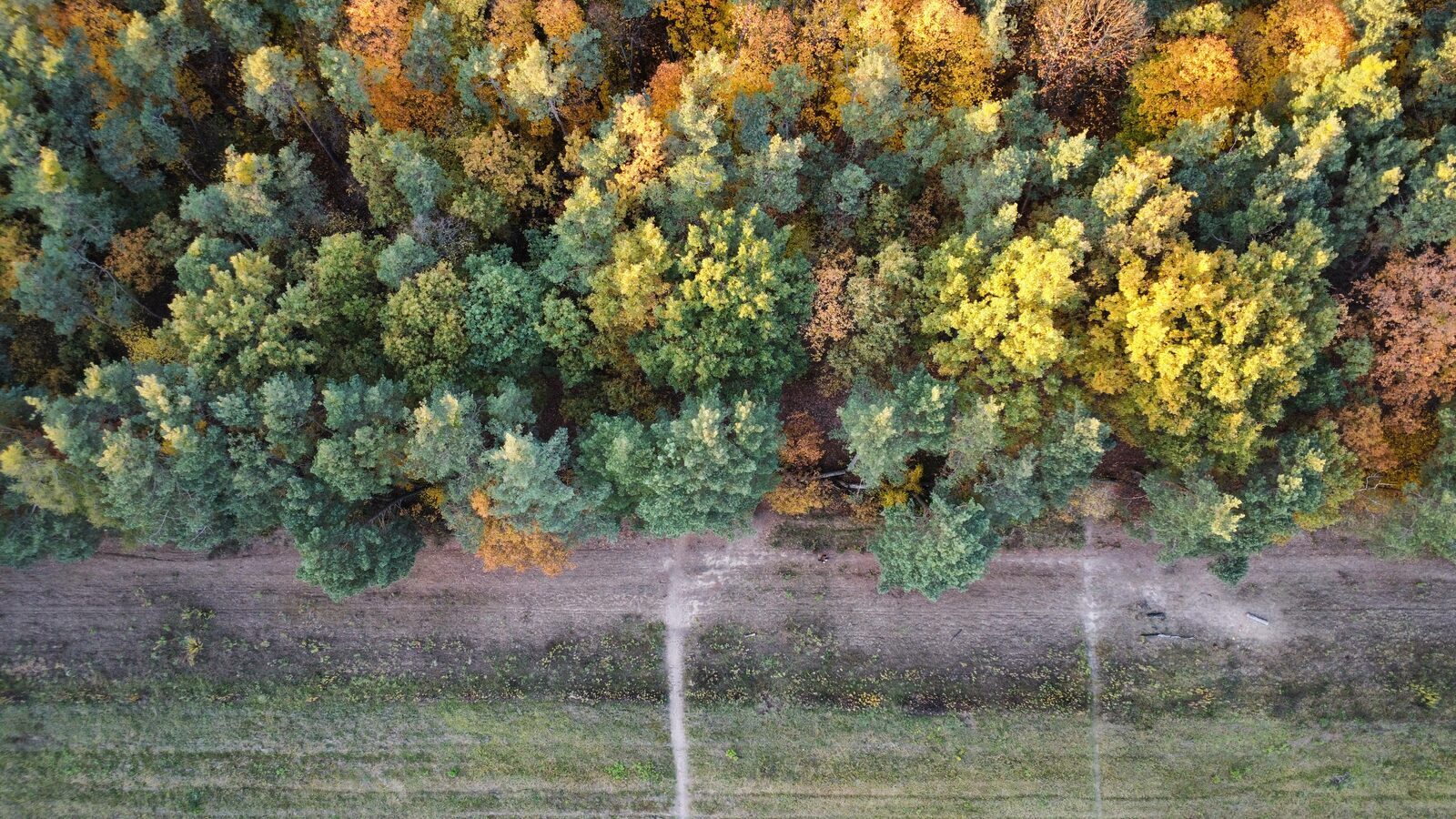 Aerial drone photo